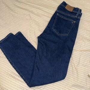 Madewell 10” High Rise Skinny Jeans 29